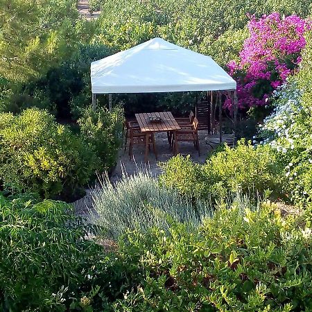 Aegina'S Oasis别墅 外观 照片