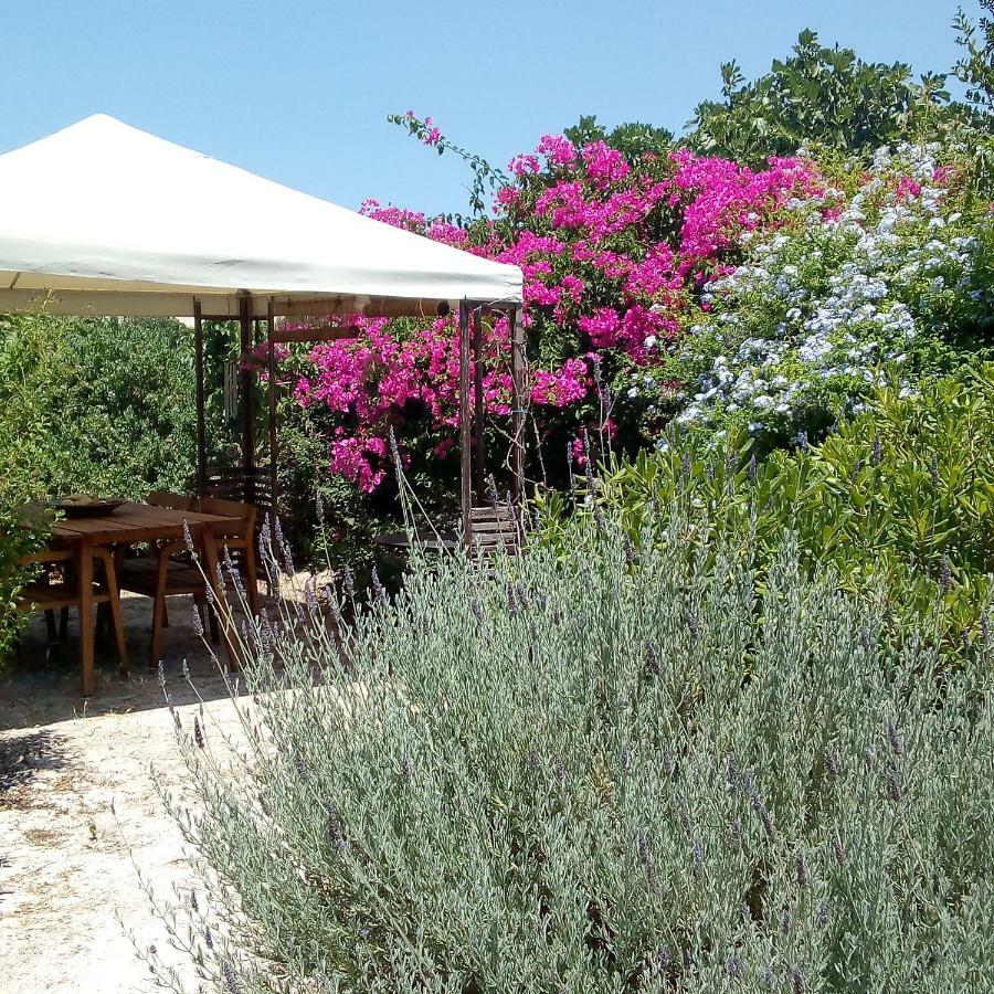 Aegina'S Oasis别墅 外观 照片