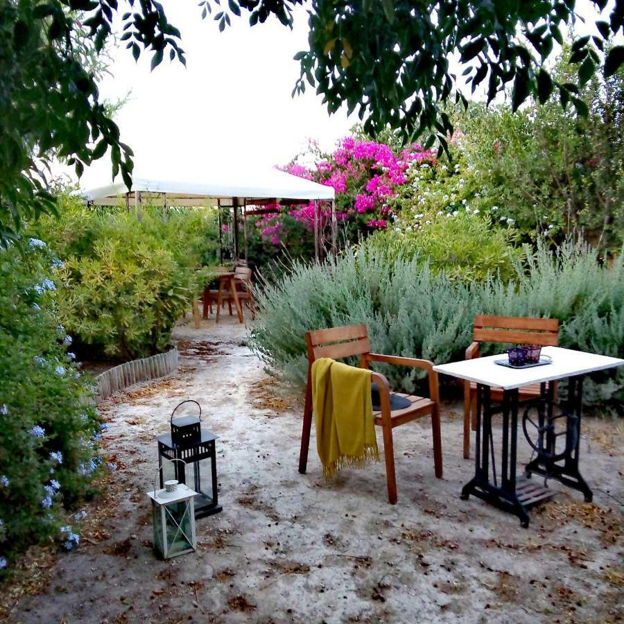 Aegina'S Oasis别墅 外观 照片