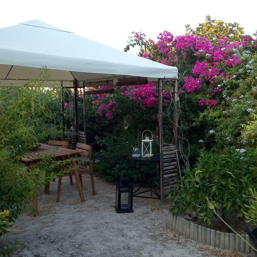 Aegina'S Oasis别墅 外观 照片